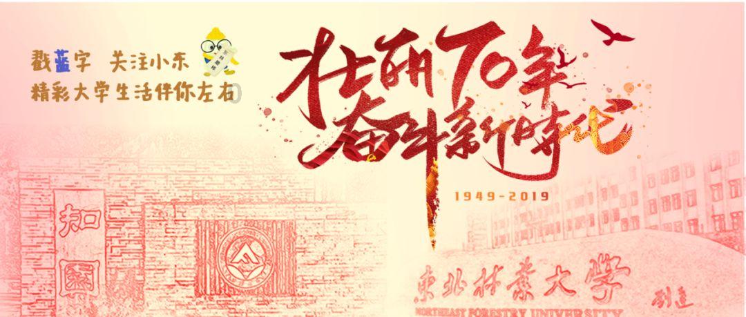 小猫钓鱼正版下载中文版